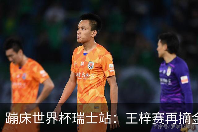蹦床世界杯瑞士站：王梓赛再摘金